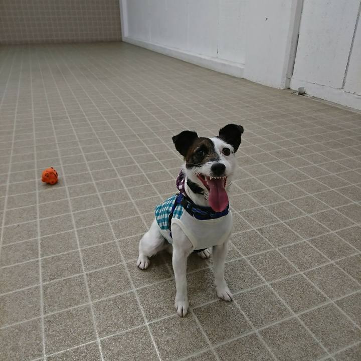 91795a3e d355 417c 8364 f43ba58c238a 1521862474594