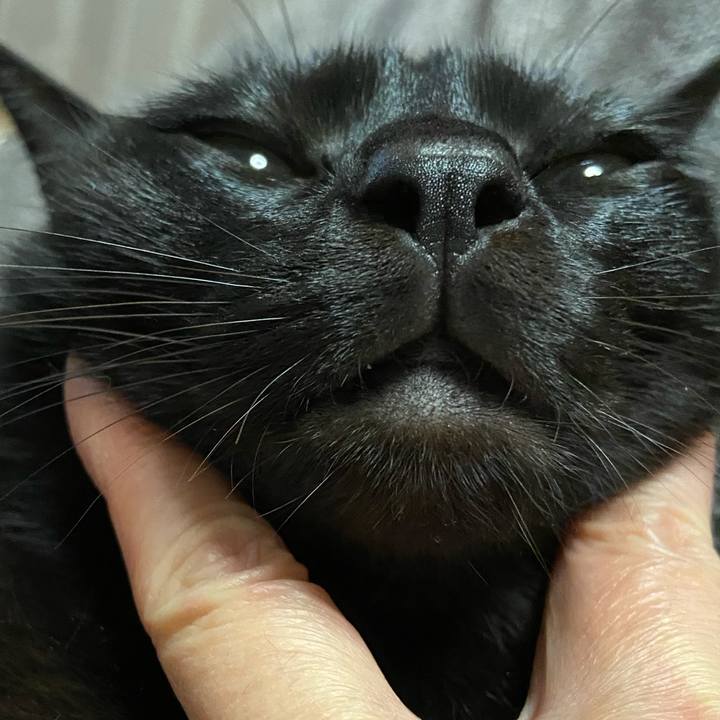 9179d465 9231 474e b583 0c5488194870 1669373947476