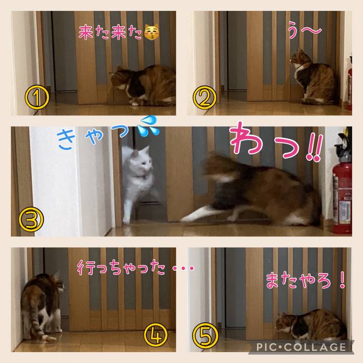 9179dffa 9e9f 454a 9a0b c3e20d392a85 1711670408765