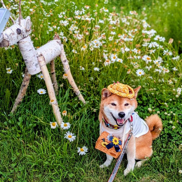 9179e432 50b8 4800 ba07 bf676292767b 1751680083635