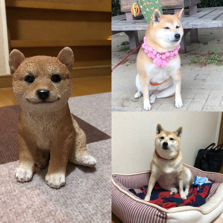 9179ff93 8312 498d ac73 57ea97941e94 1550748092851