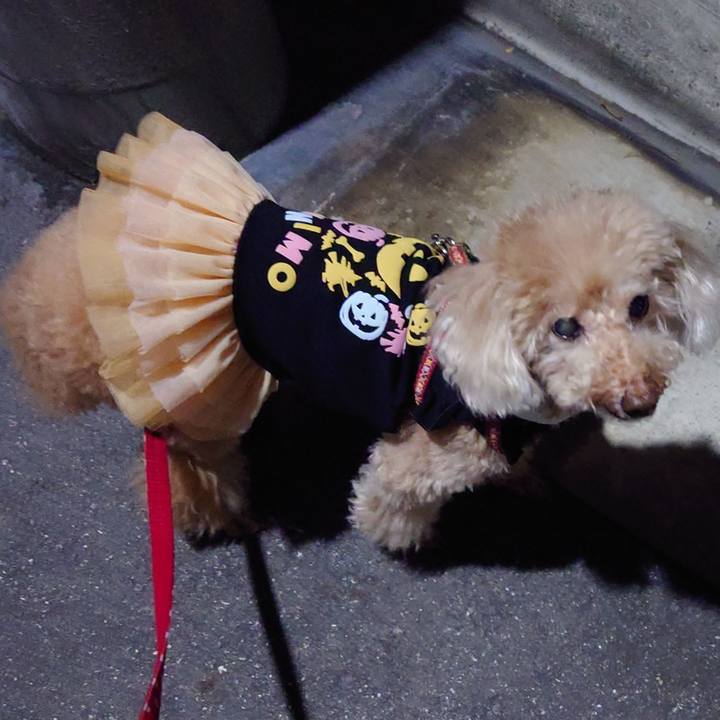 917a1aca a767 4762 9cb6 c39fd1420047 1698708451171