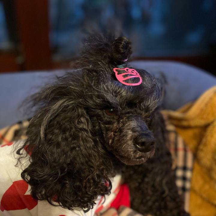 917a4719 768b 435b 8cb5 04dc26592c2b 1681081848876