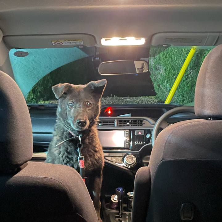 917a54f6 7ac1 414a a1f5 5838ecb7880b 1678903097193