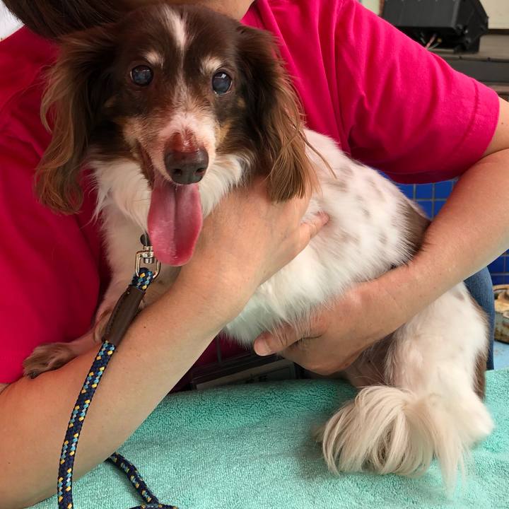 917b36b1 352c 4d3f ae4a d33ae74ad649 1557153232576