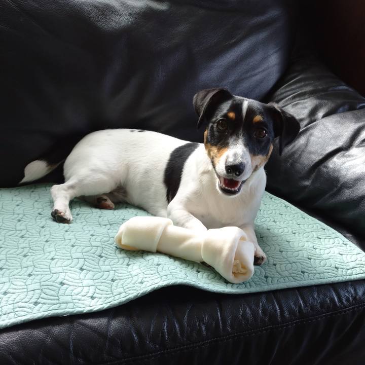 917b40ec f609 4aaa 9b93 08873c328f5f 1564365600186