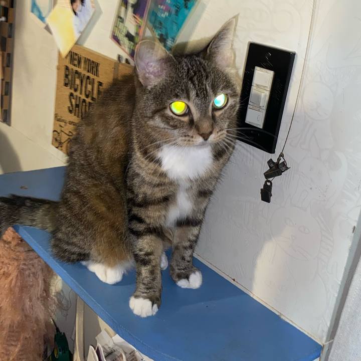 917b6ae0 739e 45f9 9538 bde9ac6aadb3 1661117970944