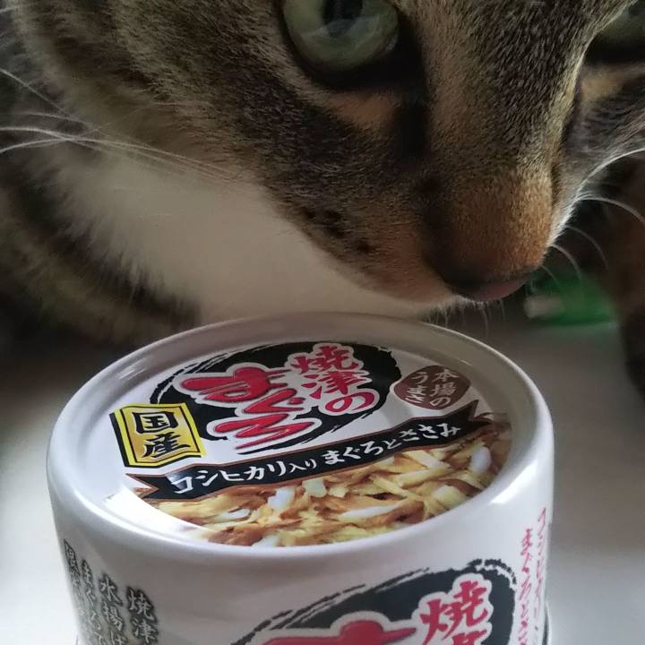 917b7bb5 f642 4da3 94a9 f6011bde36b1 1622966820424