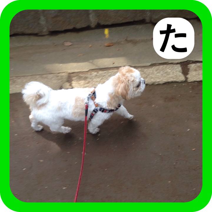 917b8357 1136 424a 84f9 a992e7f31bd0 1515048187230