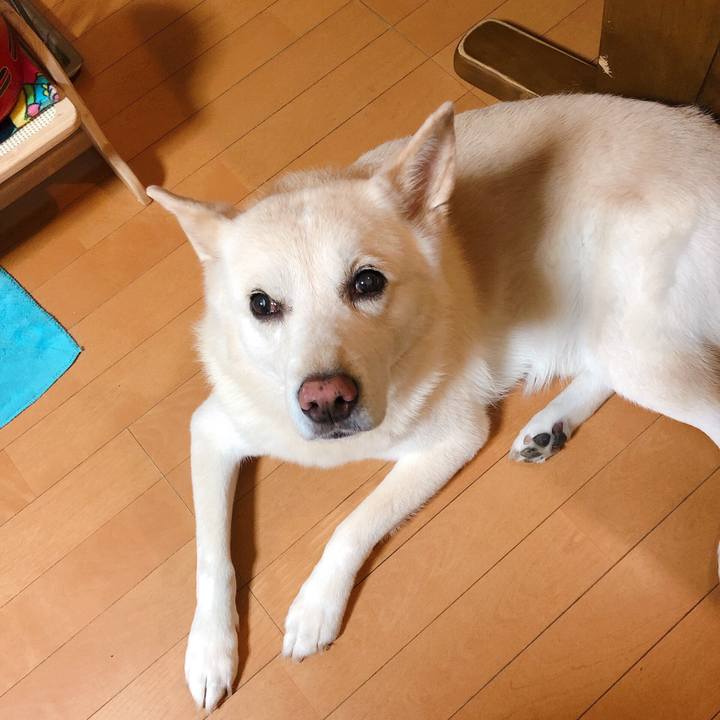 917be272 bc4e 45ff afd9 ee6a669f61dd 1566952624749