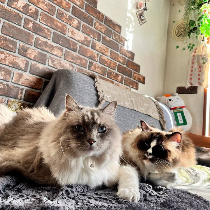 917bfdac 5ca1 47f7 91ad 4d435366b306 1675421177347