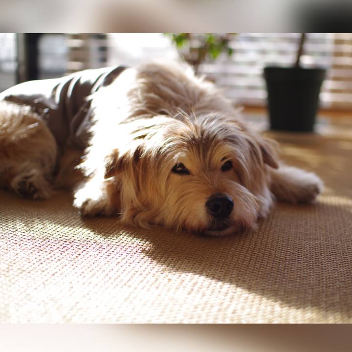 917c20b9 83b1 4884 afa0 3c0b0b030b10 1649377438557