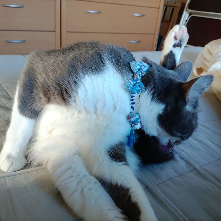 917c29ef 8257 4eab b6d3 3630fb673f59 1664666284978