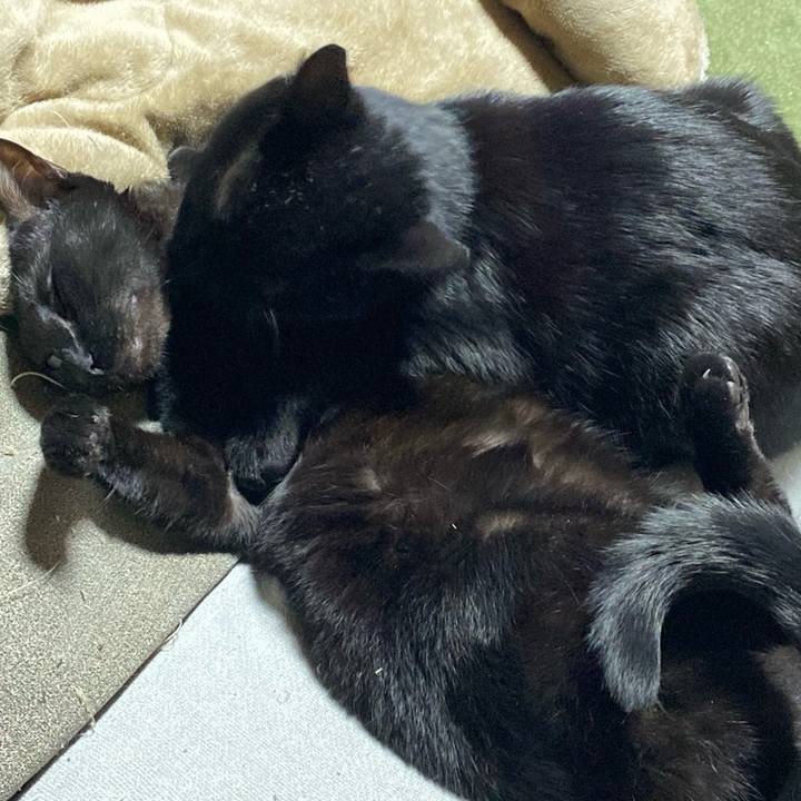 917c3f28 ebdf 4018 9a5b f46a4ed5ca52 1771728894352