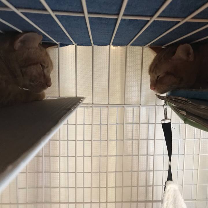 917c5dc8 0663 427a 8292 9af1b09b55a2 1585474128597