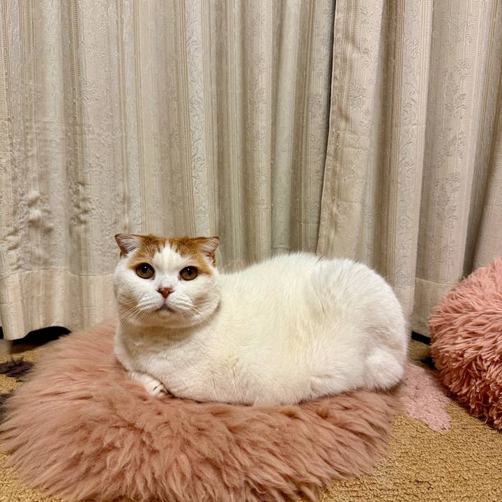 917c9c6d a4eb 4cb1 a5bf 767ea8b1a95b 1772964786279