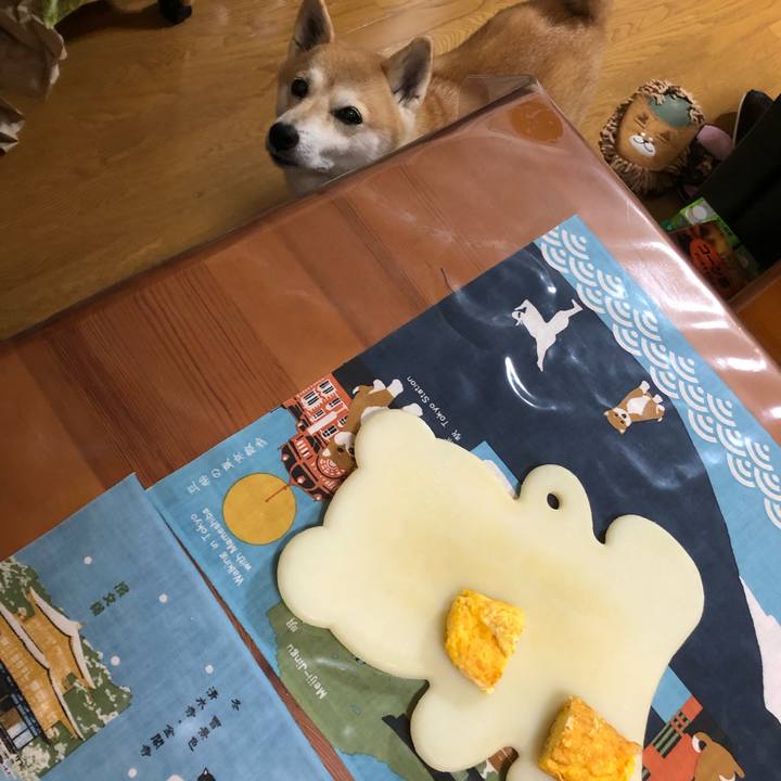 917ca519 652f 4186 9935 a5cc30e5e3a3 1599703159432