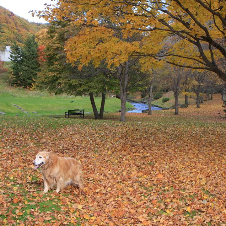 917cae3c 6966 4314 b671 06b90f7ad76d 1763721696933