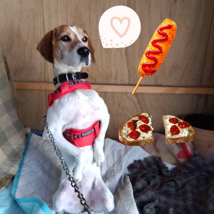 917cb158 bf32 4af8 b2e5 565b2a38c5ed 1699954072285