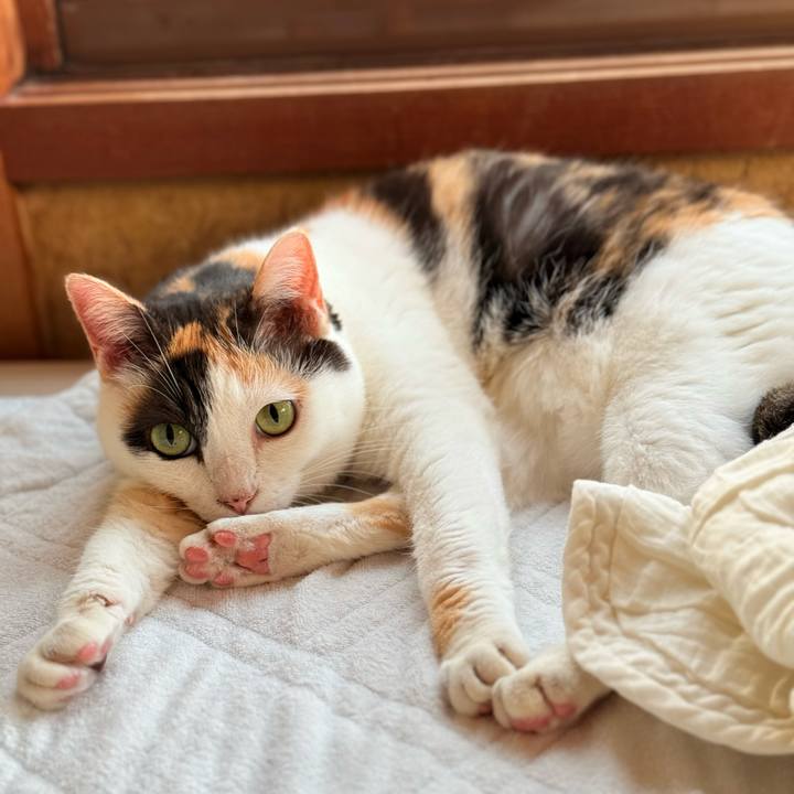 917cb45b 0ecb 481e 9baf 8ccdf14f5a82 1731806844081