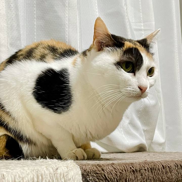 917cda9e 52a6 4908 a5ee 75db8668a87b 1622948601127