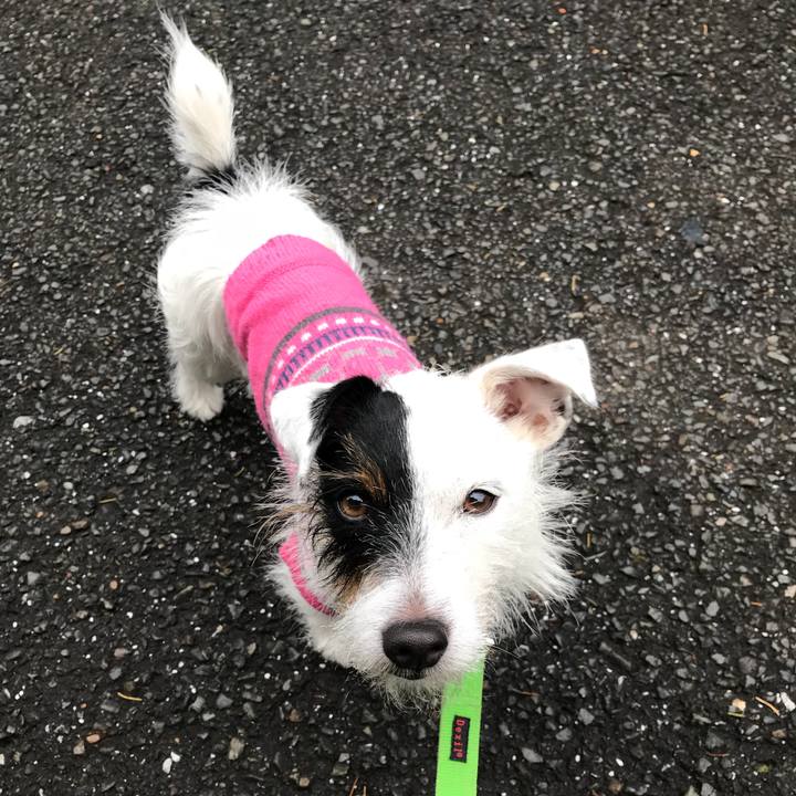 917ce397 ddb0 467e a937 a6490948a206 1510618862356