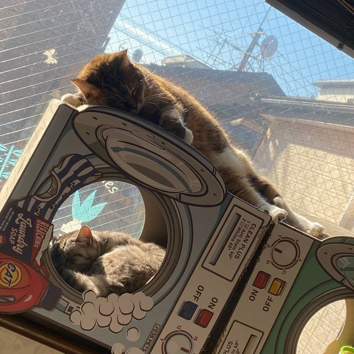 917cfec2 ef75 49a1 8795 4bb8e132ba83 1704502208647