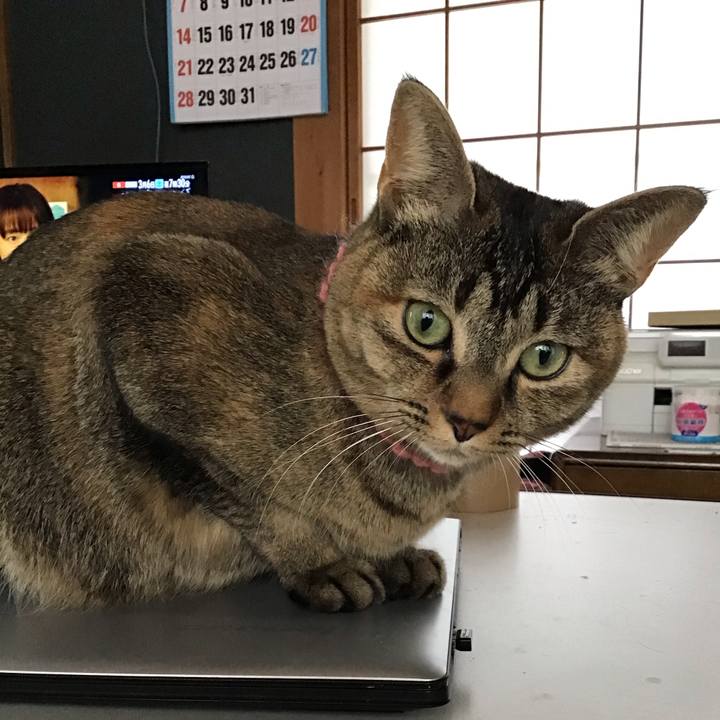 917d1727 16e4 4bba 9a31 0e39164e2189 1614910950350