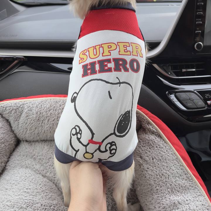 917d2b4e 6880 42ff 9ab6 bb74c3fd31dc 1727490978265