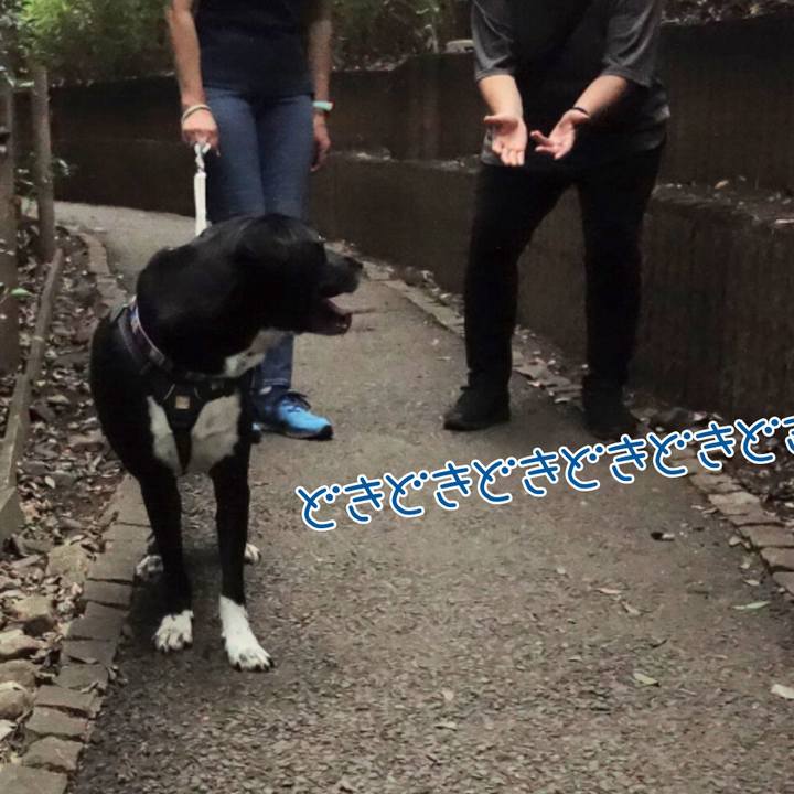 917d32f7 d713 4261 aa4f 49c0f9939590 1657584479763