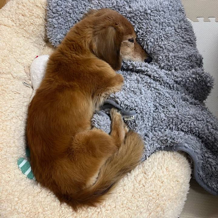 917d4ecc 7659 4e29 9674 271b5652fdb2 1642754955944