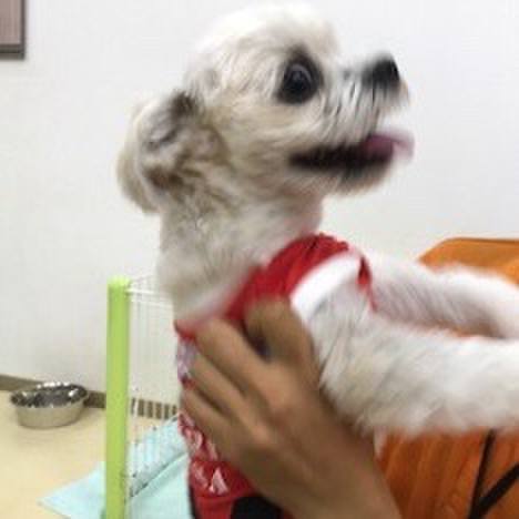 917d5ee5 4d21 4d02 8bbe 9d2ebc5fb9bd 1508157934525