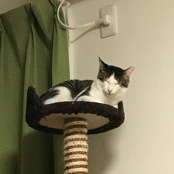 917d6811 851b 4cca 8bbd fa8c501d8958 1543145038504