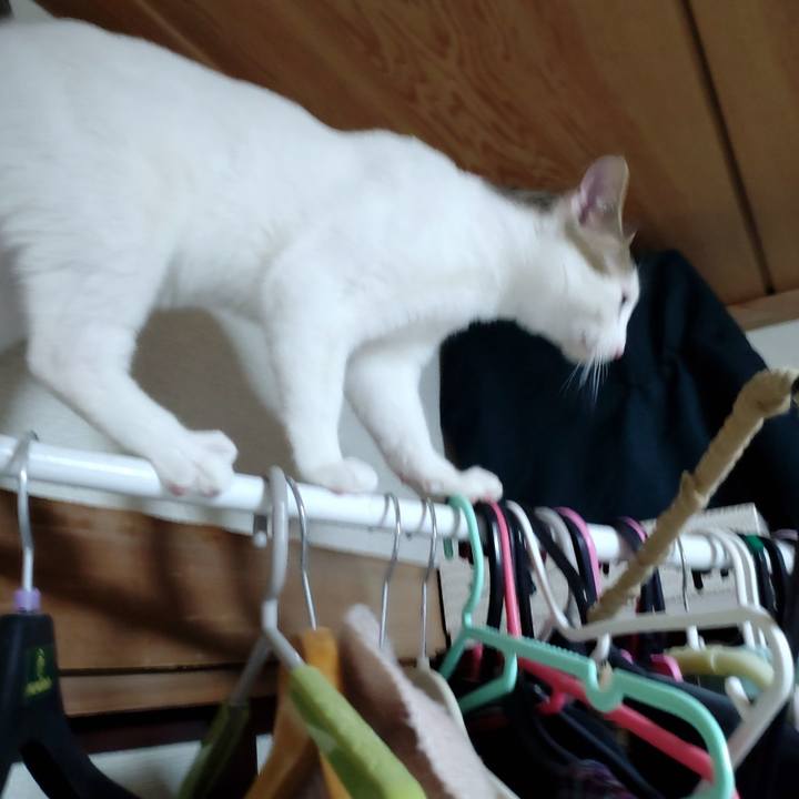 917d6d78 a81a 4917 bd96 d1e55da2effb 1647598817314