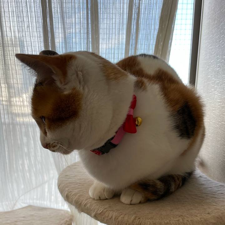 917dea43 5517 4657 8612 2b50a2b00062 1610062459233