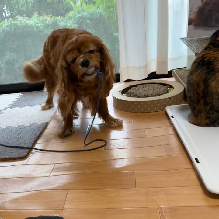 917e073a 0b13 4c4d 8754 7d18e7bf94a7 1684448083296