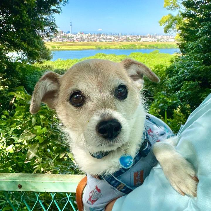 917e0cf9 8fae 402e bf67 4c6262a5ccce 1715401803235