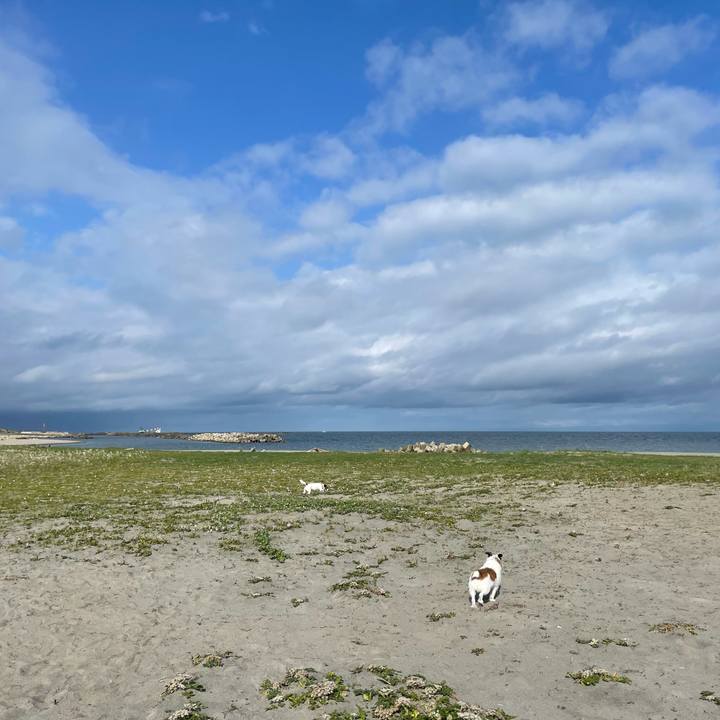 917e8b09 5cc6 4485 a7e3 7d73866195c1 1717543472158