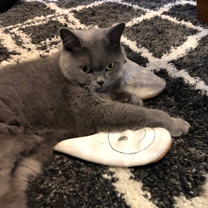 917e93fb 28ab 4dc1 9bc6 b63e18c40f77 1573963386986