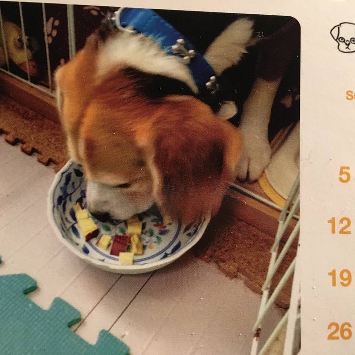 917ec532 779f 42ed b183 50297b2b5729 1510040108717