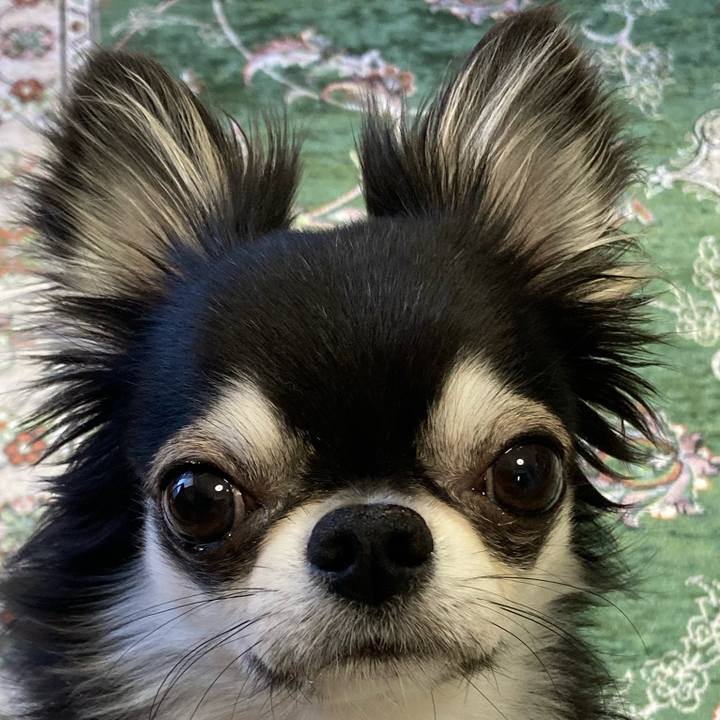 917ecf6a 8c12 4916 884e 2ef6626d92ac 1651533907249