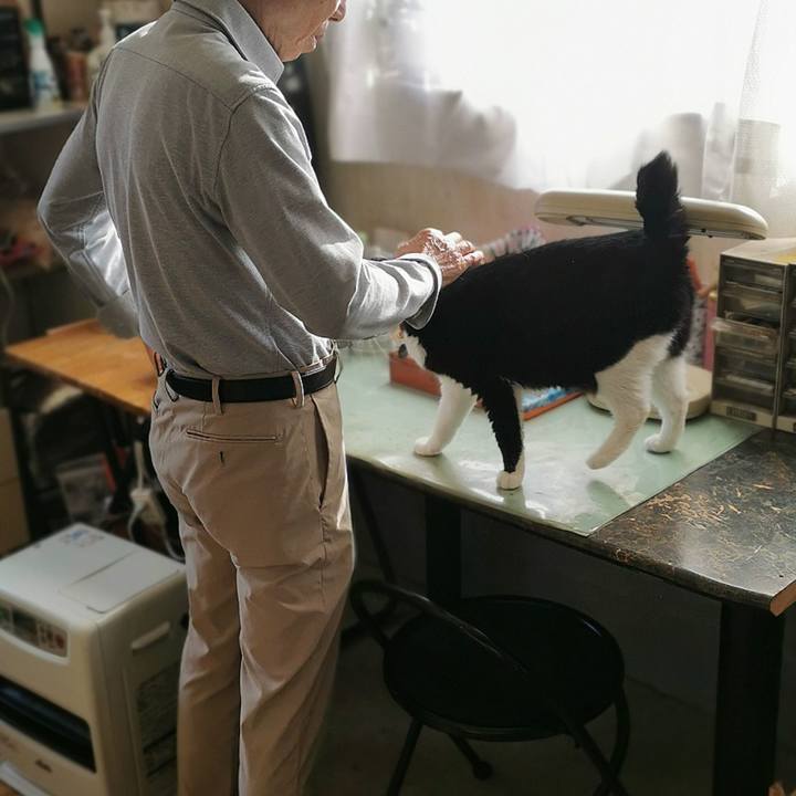 917edbdb caa5 47d2 9787 b7cded3f6d12 1651724445561