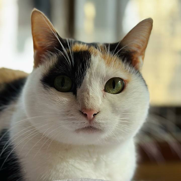 917f4659 6a0e 4cd0 8df6 95c852c44379 1702347254390