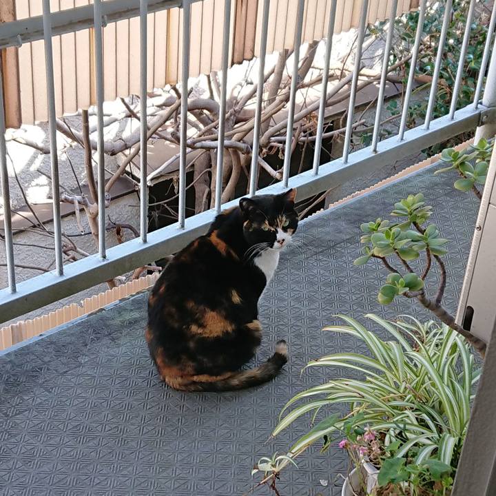 917f621b d8d2 4176 927e f9a9fe007450 1552090097679