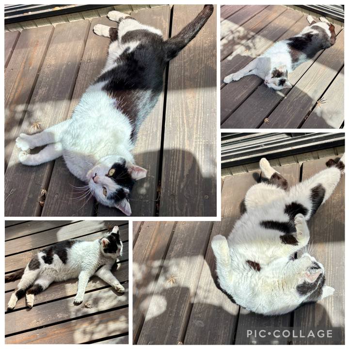 917f9ec6 63d3 4394 b8d4 4b358bf0750a 1775467020727