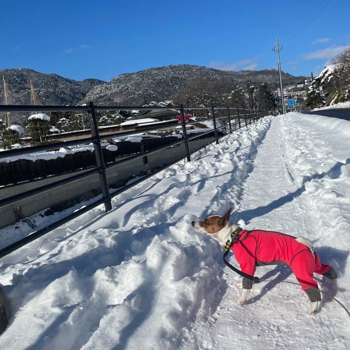 917faee9 8805 41ea 866e 8d566c54afdb 1642836854441