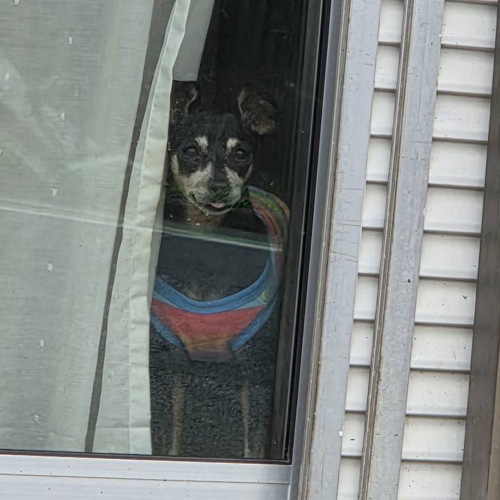 917fb1b6 c7e5 499a 9a4a cf2705de2fc7 1767768945851