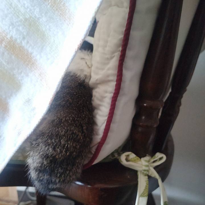 917fb5ac b108 4c7c b245 42957d7f2270 1758071146158