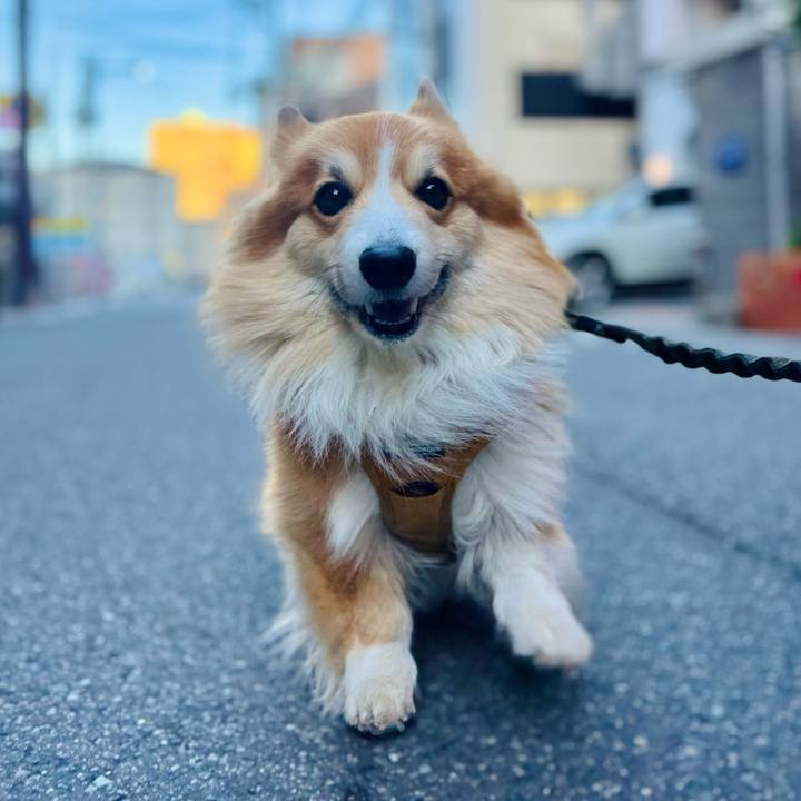 9180183d 9e4d 48d0 8fc3 d4984ba50f69 1769038475976