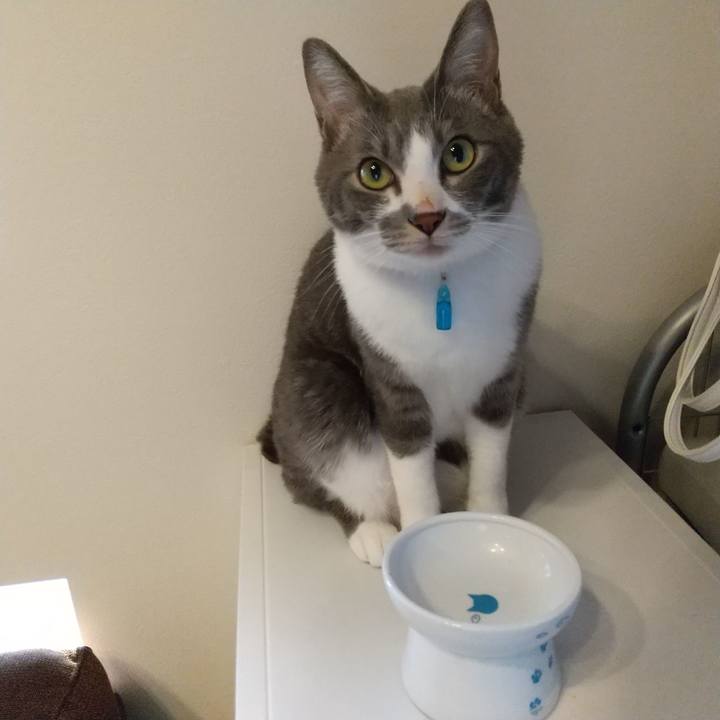 91802dca c607 4f79 bfcb e2c00dc79c15 1617403919484